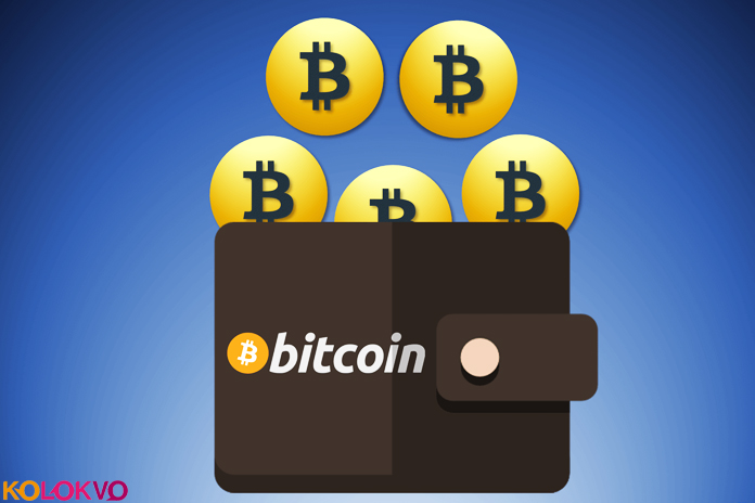 Cuál es la mejor cartera Bitcoin