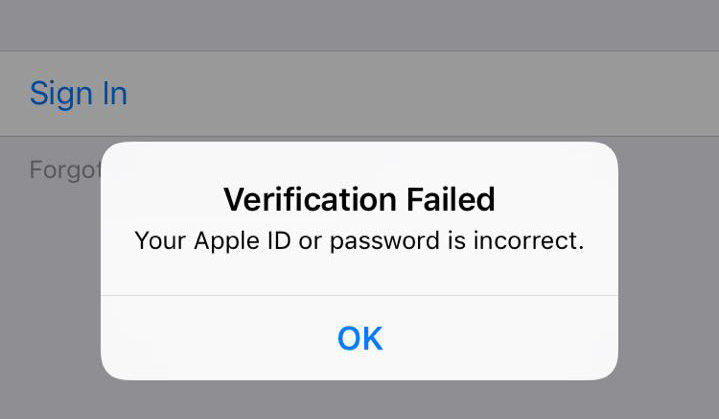 haga clic en Aceptar
