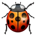 ž Lady Beetle