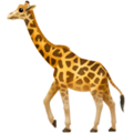 Girafa