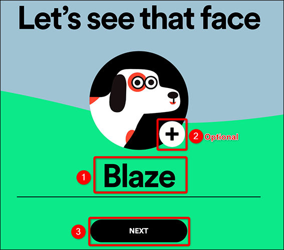 Ingresa los detalles de tu mascota en el sitio web de Spotify for Pets.