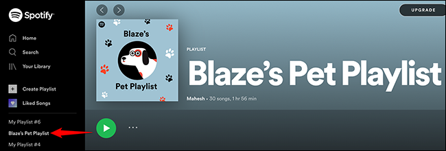 Accede a la lista de reproducción de mascotas en el reproductor web de Spotify.