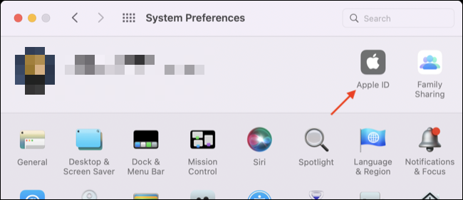 Acceda a la configuración de ID de Apple en Preferencias del Sistema