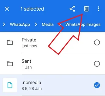 3 formas de arreglar las imágenes de WhatsApp que no se muestran en la galería (Android, iOS)