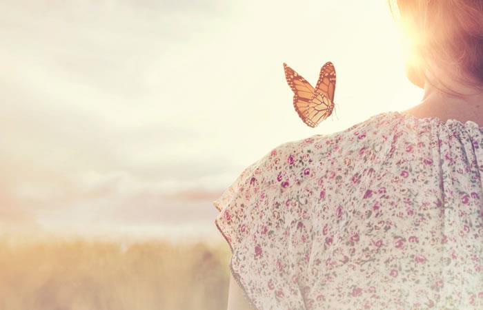 Soñar con mariposa