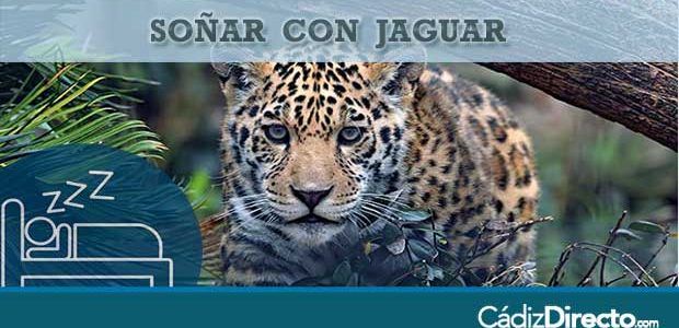 Soñar con jaguar atacando