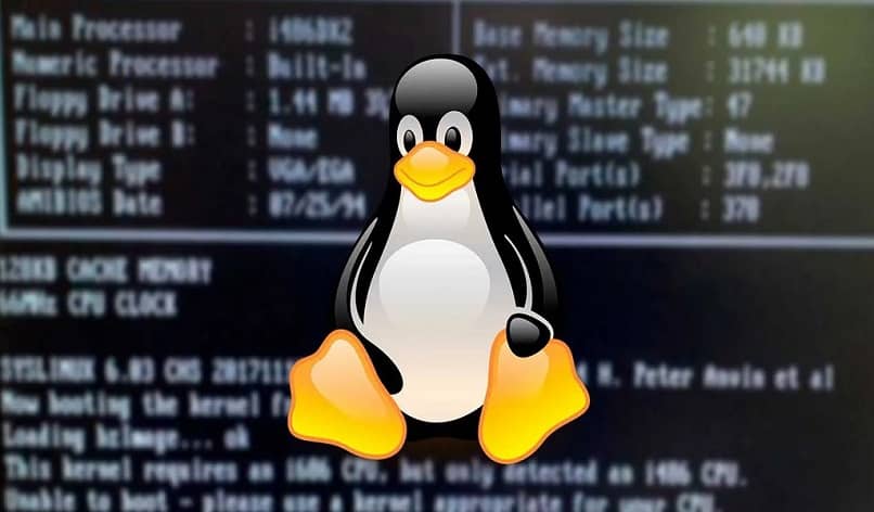 pingüino con emblema de linux con fondo numerado