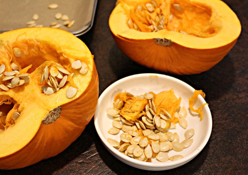 semillas de calabaza cosechadas