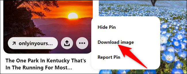 Seleccione "descargar imagen" en el menú de tres puntos de Pinterest.