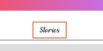 Cómo descargar historias de Instagram usando Storiesdown paso 4