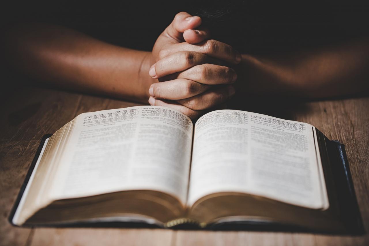 Cómo estudiar la biblia solo