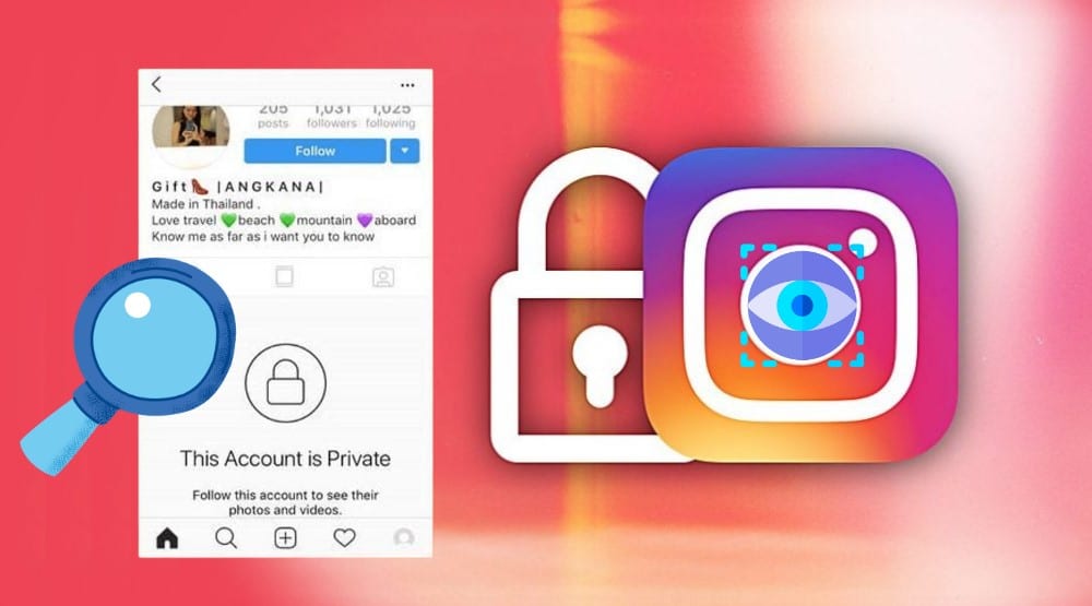 Cómo ver perfiles privados de Instagram (2022) |  Las mejores reseñas de proxy