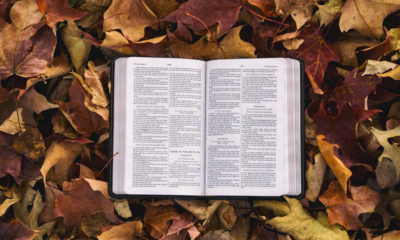 Cómo estudiar la biblia solo