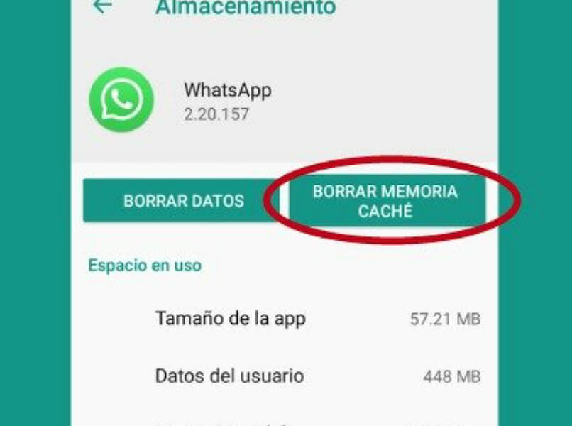 corrección de error de video whatsapp